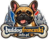 Buldogfrancuski.pl